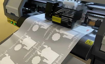 DTF Printing (Direct to Film)